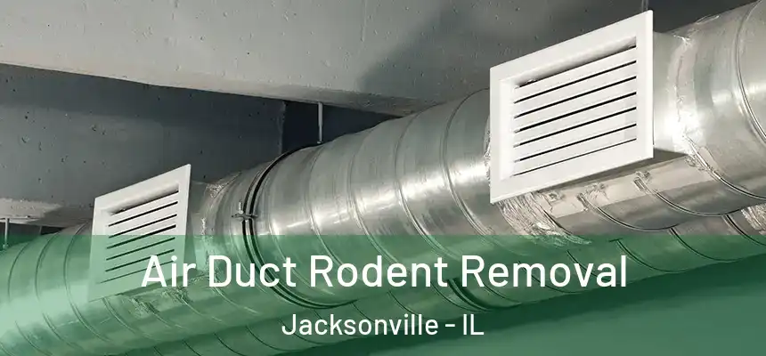  Air Duct Rodent Removal Jacksonville - IL