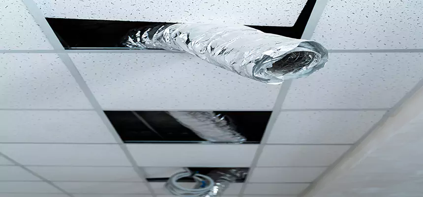 Our Air Duct Pet Hair Removal Services in Jacksonville, IL