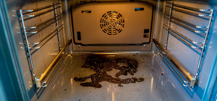 Our Dryer Vent Mold Cleaning Services in Jacksonville, IL