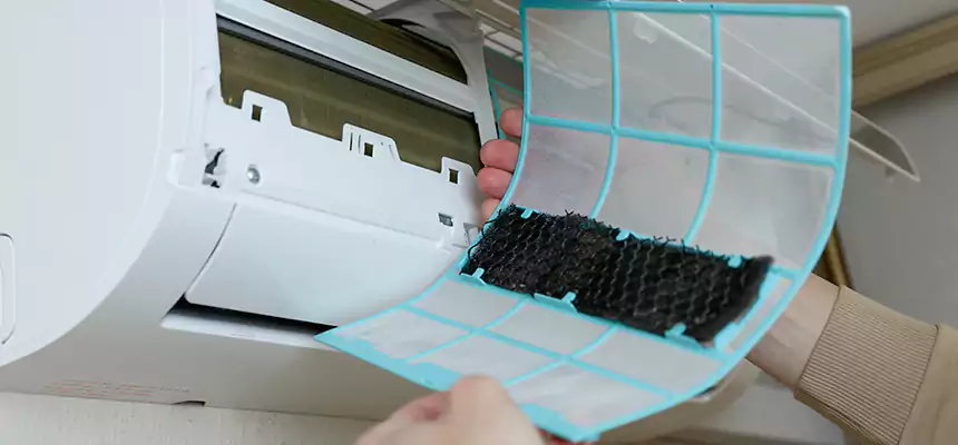 Gentle Ductwork Odor-Control Pet Dander Duct Cleaning in Jacksonville, IL