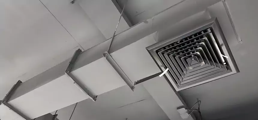 Our Rodent Droppings In Vents Services in Jacksonville, IL