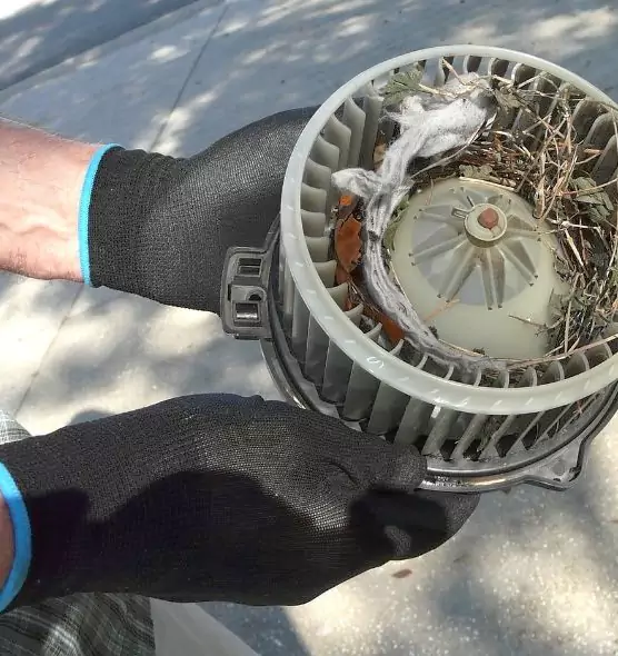 About Air Duct Mice Removal in Jacksonville, IL