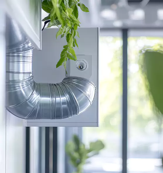 Professional Eco-Safe Dryer Vent Cleaning in Jacksonville, IL