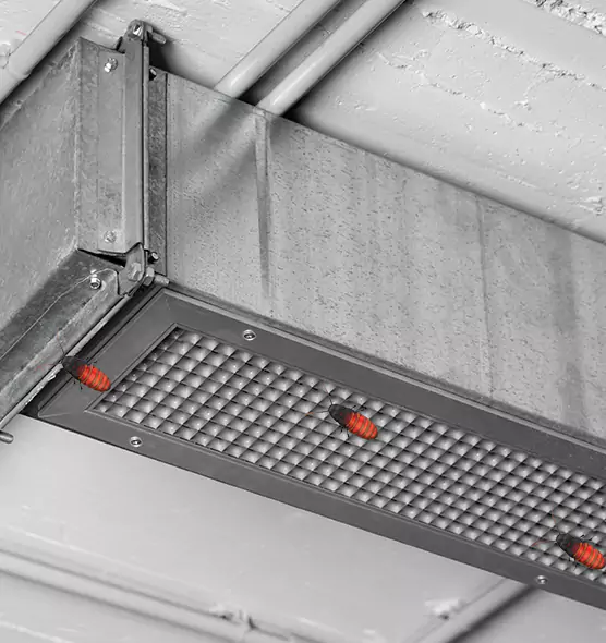 Affordable Insect Removal from Air Ducts in Jacksonville, IL