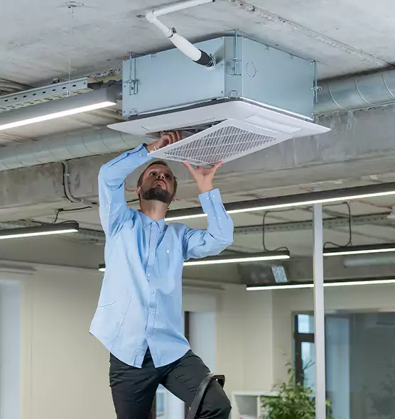 Advanced Rodent Droppings In Vents in Jacksonville, IL