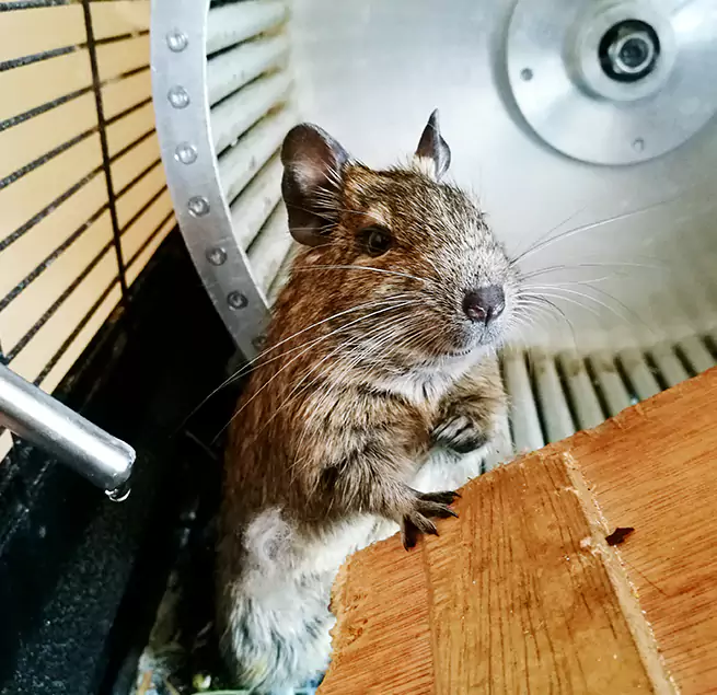 Why Homeowners & Businesses Trust Us Jacksonville, IL