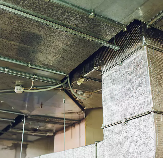 Why Homeowners & Businesses Trust Us in Jacksonville, IL?